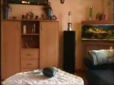 JZD Dlouhá rozkoš