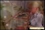 Beautiful blonde girls play together