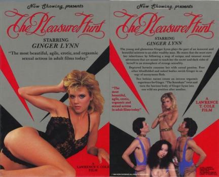 Pleasure Hunt - americký porno film